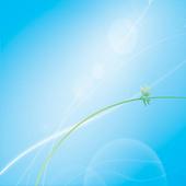 Drum win Pad Machine icon