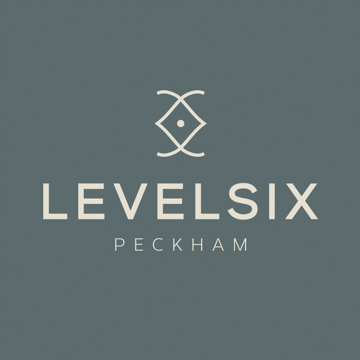 LEVELSIX icon