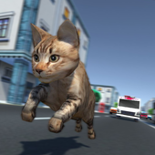 Kitty Cat Rush 3D Game icon