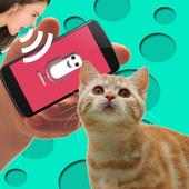 Cat Translator on 9Apps