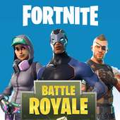 Battle Royale Fornite Funny Moments