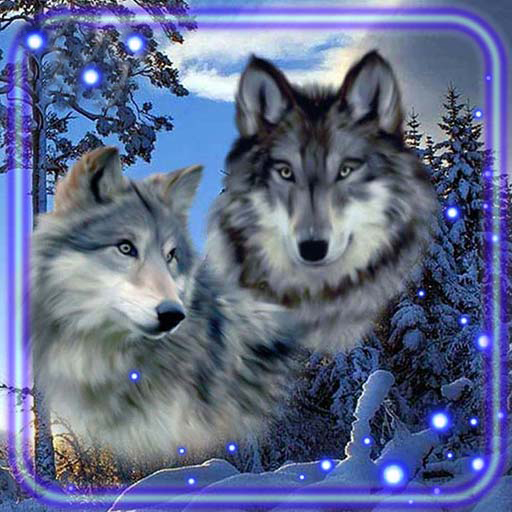 Winter Wolves Live Wallpaper icon