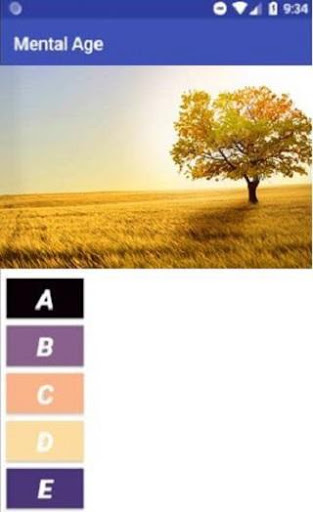 Mental Age screenshot 1