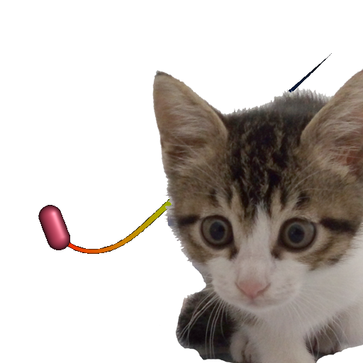Cat Toy - moving point for cat icon