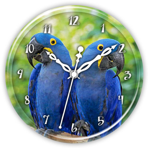 Hyacinth Macaw Clock Live WP icon