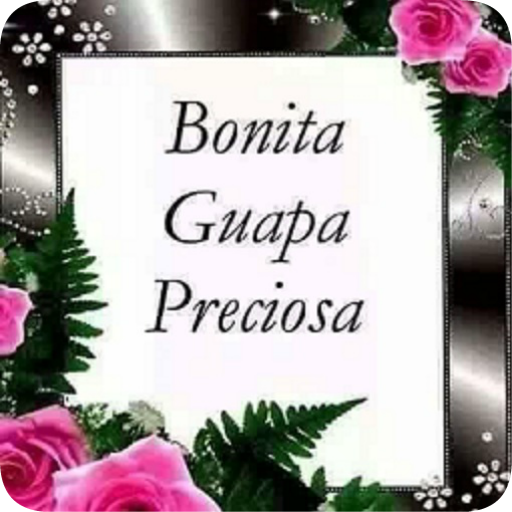 Frases y Piropos de Amor icon