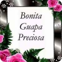 Frases y Piropos de Amor