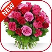 Beautiful Flowers Bouquet Of Roses 🌹 on 9Apps