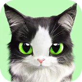 Warrior Cats Wallpaper أيقونة