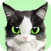 Warrior Cats Wallpaper on 9Apps