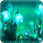 Snowdrops Live wallpaper icon