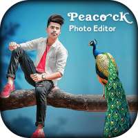 Peacock Photo Editor on 9Apps