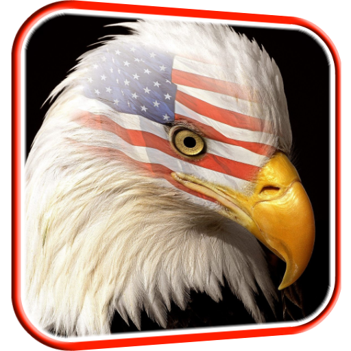 USA Eagle Live Wallpaper icon