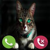 Fake Call Cat Prank icon