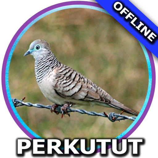 Suara Burung Perkutut Mp3 आइकन