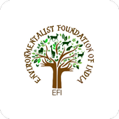 EFI Volunteer icon