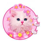 Kawaii Kitty Cat on 9Apps