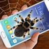 Fake Spider on Screen: Funny Joke icon