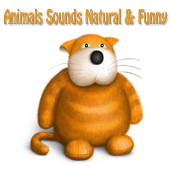 Funny Animal Sounds icon