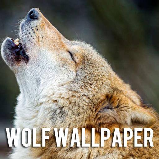 Wolf Wallpaper icon