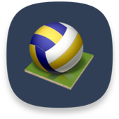 Volley Ball Champs!!! icon