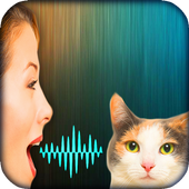 Cat Voice Translator Simulator icon