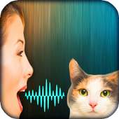 Cat Voice Translator Simulator
