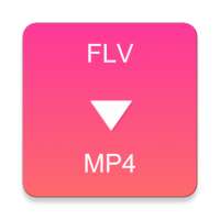 FLV to MP4 Converter