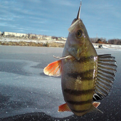 Рыбалка рыбалка рыбалка иконка