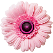 Flower Photo Frames icon