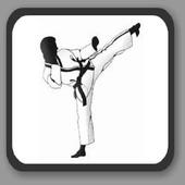 karaté training icon