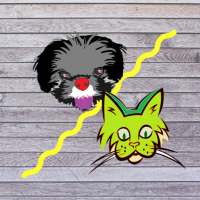 CAT vs DOG