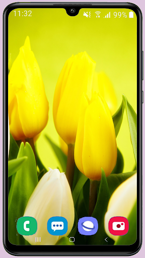 Tulips Wallpaper Best HD screenshot 14