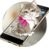 Cute Kitty Cat 2D Theme