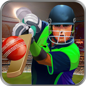 Premier League Cricket Craze icon