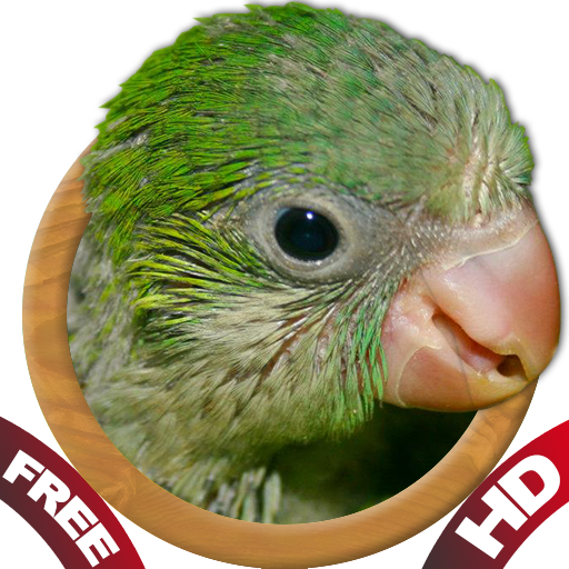 Baby Animal Sounds for Parents icon