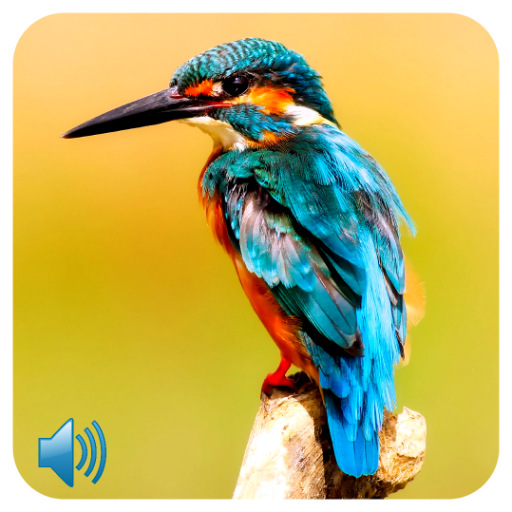Bird Sounds icon