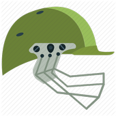 T20 Cricket online icon