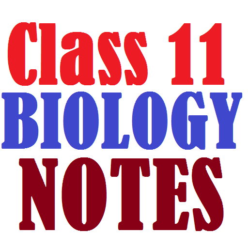 Class 11 Biology Notes أيقونة