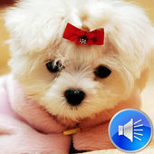 Dog Sounds Ringtones icon