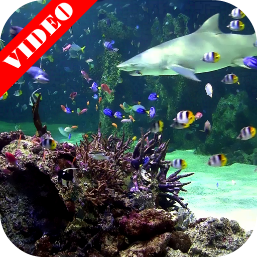 Video Wallpaper: Aquarium icon