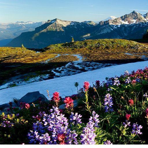 Beautiful Scenery icon