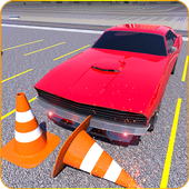 Backyard Car Parking Simulator - Real Parking Fury icon