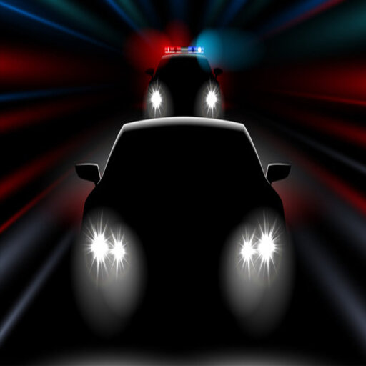 On The Run: Police Car Chase icon