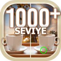 Farkları Bulun 1000  seviye