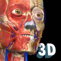 Anatomy Learning - 3D Anatomy Atlas