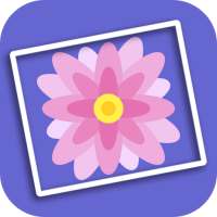 PicSmart Gallery : Photo Album, Smart Gallery Lock on 9Apps