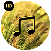 Wind Sounds - Relaxing &amp; Sleep icon