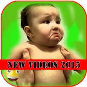 Funny Vidéos Droles WhatsApp