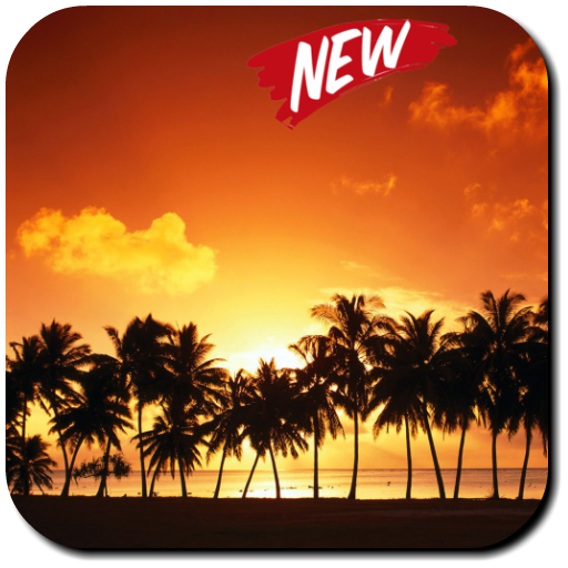 Palm Tree Wallpaper icon